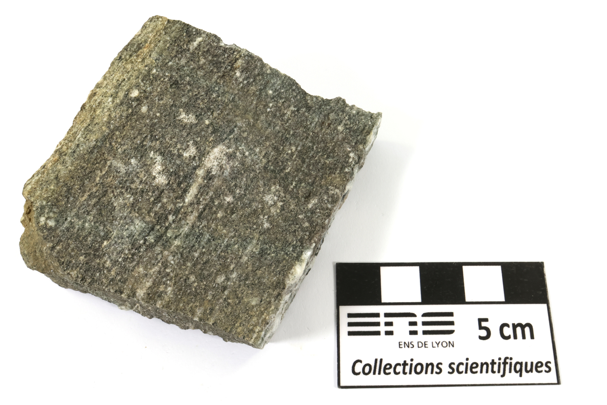Gneiss amphibolitique Gneiss amphibolitique Vosges  Sainte-marie-aux-mines carrieres de Fertrupt